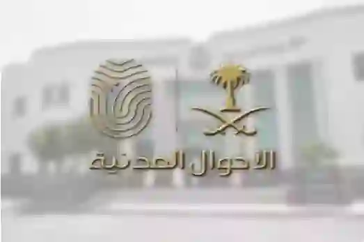 من يحملون شهادات ميلاد قديمة عليهم اتخاذ هذا الإجراء عبر أبشر لتحديثها
